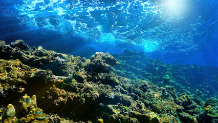 Fototapeta na wymiar Underwater art with waves and rays of light over the coral reef.
