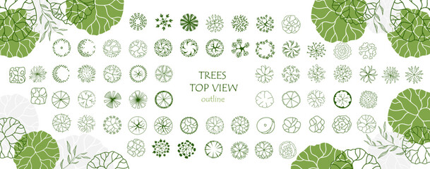 Tree for architectural floor plans. Entourage design. Various trees, bushes, and shrubs, top view for the landscape design plan. Vector illustration.