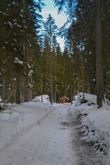 snow covered road