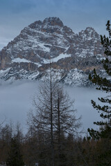 snow on the mountain