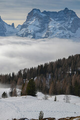 snow covered mountains