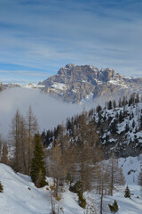 snow covered mountains