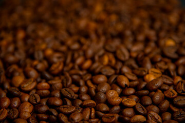 coffee beans background
