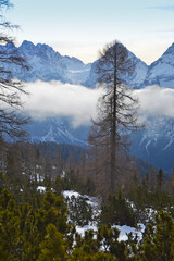snow covered mountains