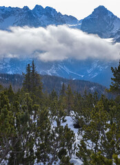 snow covered mountains