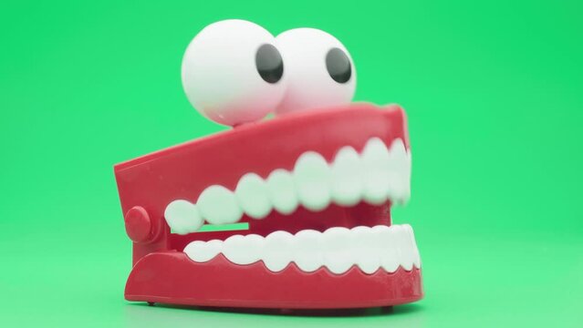 Toy teeth. Moving funny tooth model toy.
