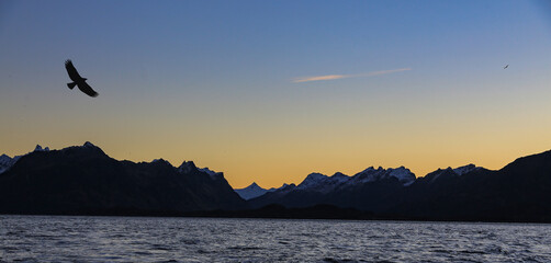  Sunrise on Hadselfjorden during halibut fishing - Nordland countyNorthern Norway,scandinavia,Europe