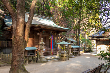 Fototapeta premium 静かな森の中にたたずむ木造の古い仏堂