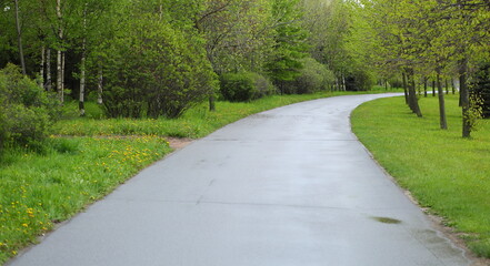 Obraz premium Asphalt park pedestrian walkway in the summer park