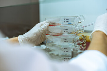 Scientist using a pipette to introduce medium in cell culture flasks