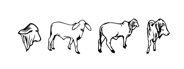 EID AL ADHA SILHOUETTE COW AND GOAT