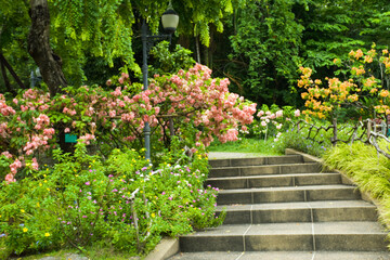 Scenery of trees, flowers and stairs in Chatuchak Park, Bangkok, Thailand.