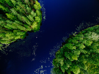 Aerial view of blue lake between green summer woods in Finland.