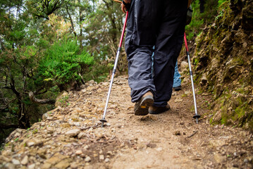 Particolare di gambe di escursionisti di trekking visti da dietro con bastoni lungo il sentiero