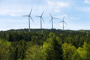 Wind turbines over a forest