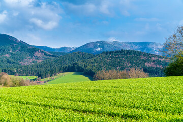 Fototapeta na wymiar Germany, Schwarzwald nature landscape panorama view with snow covered mountain tops in springtime at sunset, a beautiful tourism destination for hiking