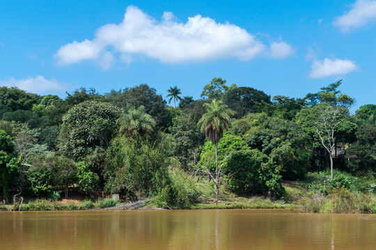Linda lago com águas escuras, cercada com muita vegetação e céu azul, em área de sítio localizado em Juatuba, Minas Gerais, Brasil.