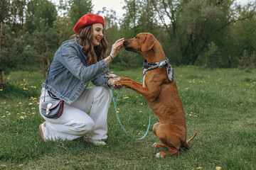 Side view of female owner training Rhodesian Ridgeback dog and giving treat on green meadow in summer park 