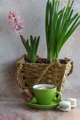 Multi-colored macaroons. Tea drinking. Green cup with hot tea and saucer against the background of flowers in a basket and on an abstract background. Macarons are a popular dessert