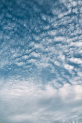 Scenic cloudscape. Abstract background of cloudy sky