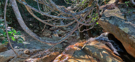 Pequena nascente localizada entre as pedras na mata de região rural do bairro Jardim das Oliveiras, município de Esmeraldas, Minas Gerais, Brasil.