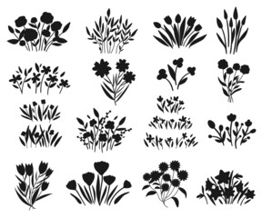 Different flower arrangements garden Silhouettes premium vector template - obrazy, fototapety, plakaty
