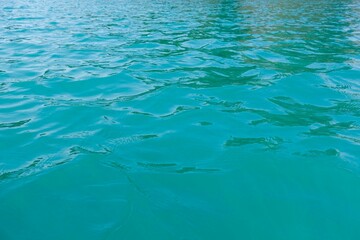 水面の背景　揺らぎ　毘沙門沼