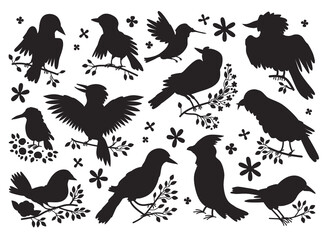 Set of forest birds Silhouettes premium vector template