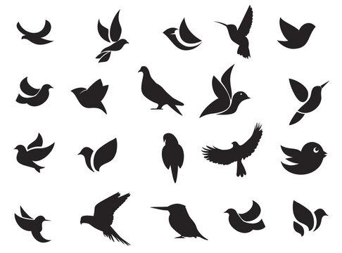 Set of humming birds Silhouettes premium vector template