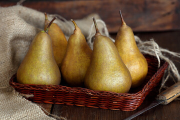 group of ripe pears lie on old planed wooden boards.