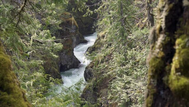 Little Qualicum River Vancouver Island 4K UHD. Little Qualicum River in the rain on Vancouver Island near Parksville. 4K UHD.
