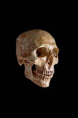 Human skull on black background
