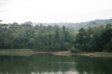 Beautiful nature, sky, trees, evening atmosphere at Khao Yai National Park, Thailand