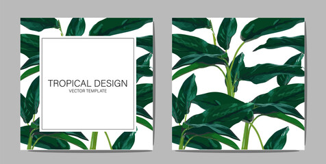 Contemporary vector templates with tropical plants. Beautiful hawaii design for banners? posters.