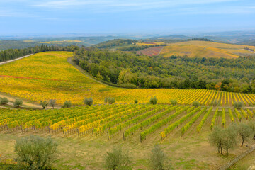 Fototapeta na wymiar Aerial landscape on the terraced vineyards of Tuscany winegrowing village Radda in Chianti in Tuscan-Emilian apennines. Italian countryside close to the brolio Castlea of Tuscany region in Italy.