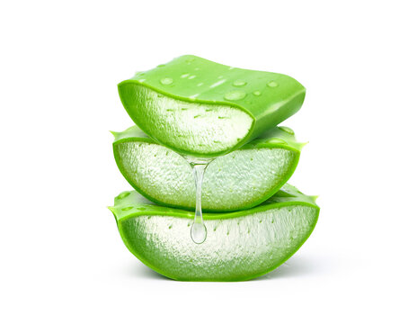 Stack of Aloe vera sliced with gel dripping isolated on white background.