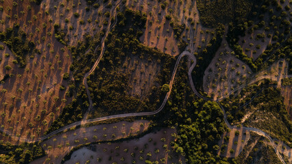 Zenithal drone view of mosaic crop mosaic of olive groves in extensive and intensive agriculture