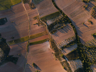 Zenithal drone view of mosaic crop mosaic of olive groves in extensive and intensive agriculture