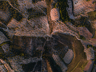 Zenithal drone view of mosaic crop mosaic of olive groves in extensive and intensive agriculture