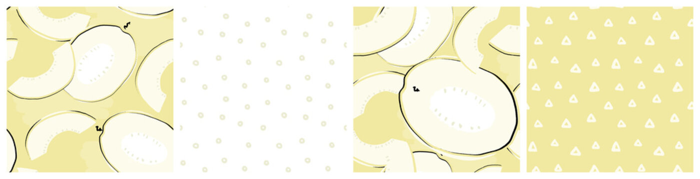 Summer melon fruit botanical seamless pattern set.