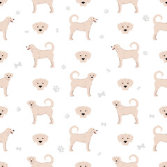 Akbash dog shorthaired clipart. Different poses, coat colors set