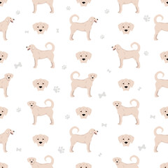 Akbash dog shorthaired clipart. Different poses, coat colors set