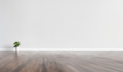 Blank white wall with baseboard in an empty room with only small potted plant in the corner....