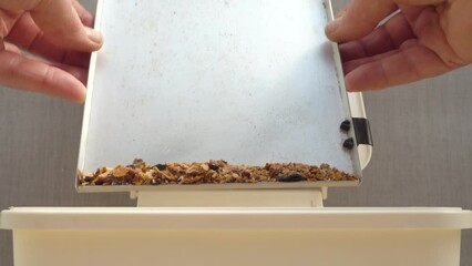 Hands tipping crumbs from a toaster tray into a small trash can.