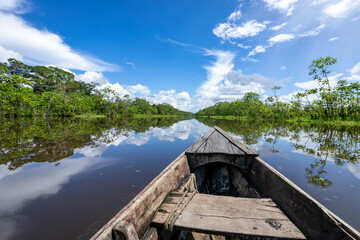 Amazon Rainforest Riverbank. Sailing down river Yanayacu at the Amazon jungle, near Iquitos, Peru....