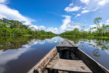Amazon Rainforest Riverbank. Sailing down river Yanayacu at the Amazon jungle, near Iquitos, Peru....