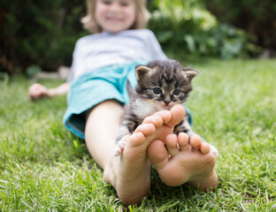 cute gray-brown tabby kitten sits on the small bare feet of a child on the lawn on a warm sunny...