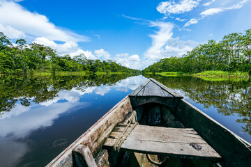 Amazon Rainforest Riverbank. Sailing down river Yanayacu at the Amazon jungle, near Iquitos, Peru....