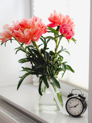 Weekly peonies on the table in the living room an on the windowsill. Macro peonies, harmony at home