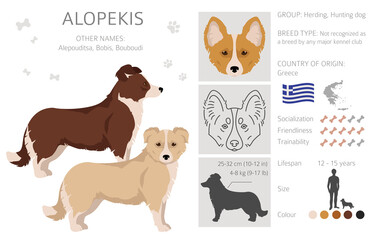 Alopekis all colours clipart. Different coat colors and poses set.  Vector illustration